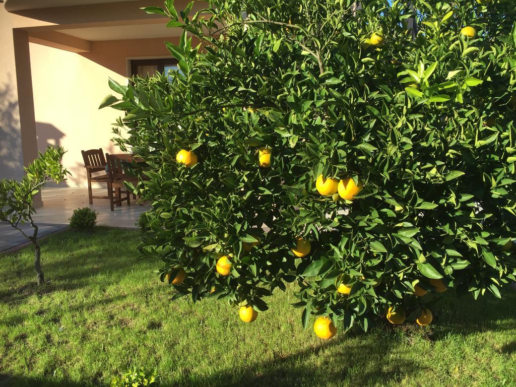 Apartment Villa Baric 4412 روفينج المظهر الخارجي الصورة